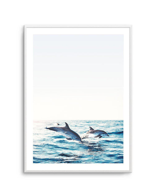 Dolphins | PT Art Print-PRINT-Olive et Oriel-Olive et Oriel-A5 | 5.8" x 8.3" | 14.8 x 21cm-Unframed Art Print-With White Border-Buy-Australian-Art-Prints-Online-with-Olive-et-Oriel-Your-Artwork-Specialists-Austrailia-Decorate-With-Coastal-Photo-Wall-Art-Prints-From-Our-Beach-House-Artwork-Collection-Fine-Poster-and-Framed-Artwork