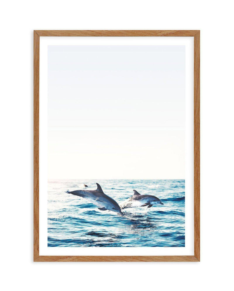 Dolphins | PT Art Print-PRINT-Olive et Oriel-Olive et Oriel-50x70 cm | 19.6" x 27.5"-Walnut-With White Border-Buy-Australian-Art-Prints-Online-with-Olive-et-Oriel-Your-Artwork-Specialists-Austrailia-Decorate-With-Coastal-Photo-Wall-Art-Prints-From-Our-Beach-House-Artwork-Collection-Fine-Poster-and-Framed-Artwork