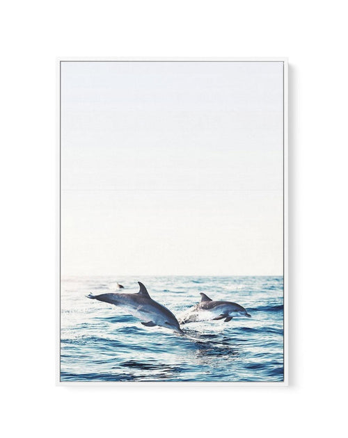 Dolphins | PT | Framed Canvas-CANVAS-You can shop wall art online with Olive et Oriel for everything from abstract art to fun kids wall art. Our beautiful modern art prints and canvas art are available from large canvas prints to wall art paintings and our proudly Australian artwork collection offers only the highest quality framed large wall art and canvas art Australia - You can buy fashion photography prints or Hampton print posters and paintings on canvas from Olive et Oriel and have them de