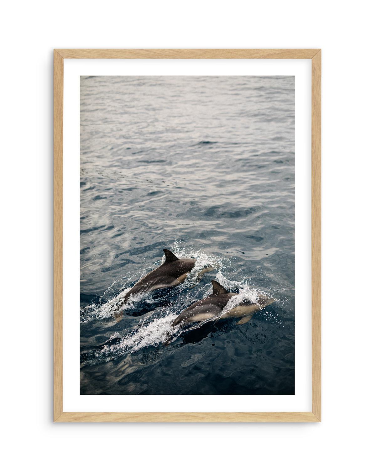 Dolphins in Antiparos, Greece by Jovani Demetrie Art Print-Shop Greece Wall Art Prints Online with Olive et Oriel - Our collection of Greek Islands art prints offer unique wall art including blue domes of Santorini in Oia, mediterranean sea prints and incredible posters from Milos and other Greece landscape photography - this collection will add mediterranean blue to your home, perfect for updating the walls in coastal, beach house style. There is Greece art on canvas and extra large wall art wi