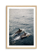 Dolphins in Antiparos, Greece by Jovani Demetrie Art Print-Shop Greece Wall Art Prints Online with Olive et Oriel - Our collection of Greek Islands art prints offer unique wall art including blue domes of Santorini in Oia, mediterranean sea prints and incredible posters from Milos and other Greece landscape photography - this collection will add mediterranean blue to your home, perfect for updating the walls in coastal, beach house style. There is Greece art on canvas and extra large wall art wi