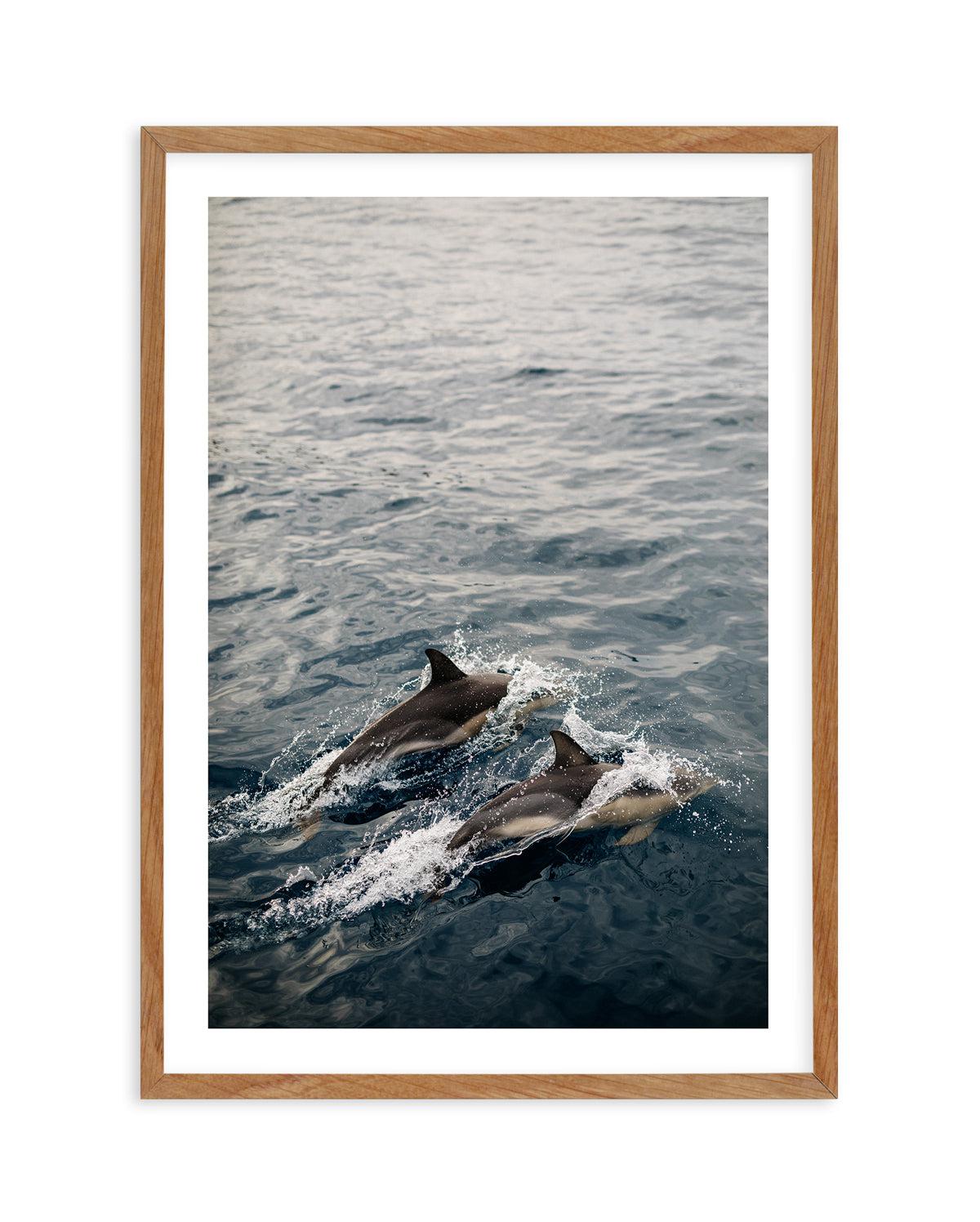 Dolphins in Antiparos, Greece by Jovani Demetrie Art Print-Shop Greece Wall Art Prints Online with Olive et Oriel - Our collection of Greek Islands art prints offer unique wall art including blue domes of Santorini in Oia, mediterranean sea prints and incredible posters from Milos and other Greece landscape photography - this collection will add mediterranean blue to your home, perfect for updating the walls in coastal, beach house style. There is Greece art on canvas and extra large wall art wi