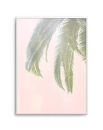 Dreamy Palms I Art Print-PRINT-Olive et Oriel-Olive et Oriel-A5 | 5.8" x 8.3" | 14.8 x 21cm-Unframed Art Print-With White Border-Buy-Australian-Art-Prints-Online-with-Olive-et-Oriel-Your-Artwork-Specialists-Austrailia-Decorate-With-Coastal-Photo-Wall-Art-Prints-From-Our-Beach-House-Artwork-Collection-Fine-Poster-and-Framed-Artwork