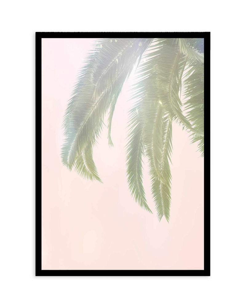 Dreamy Palms I Art Print-PRINT-Olive et Oriel-Olive et Oriel-A4 | 8.3" x 11.7" | 21 x 29.7cm-Black-With White Border-Buy-Australian-Art-Prints-Online-with-Olive-et-Oriel-Your-Artwork-Specialists-Austrailia-Decorate-With-Coastal-Photo-Wall-Art-Prints-From-Our-Beach-House-Artwork-Collection-Fine-Poster-and-Framed-Artwork