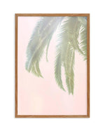 Dreamy Palms I Art Print-PRINT-Olive et Oriel-Olive et Oriel-50x70 cm | 19.6" x 27.5"-Walnut-With White Border-Buy-Australian-Art-Prints-Online-with-Olive-et-Oriel-Your-Artwork-Specialists-Austrailia-Decorate-With-Coastal-Photo-Wall-Art-Prints-From-Our-Beach-House-Artwork-Collection-Fine-Poster-and-Framed-Artwork