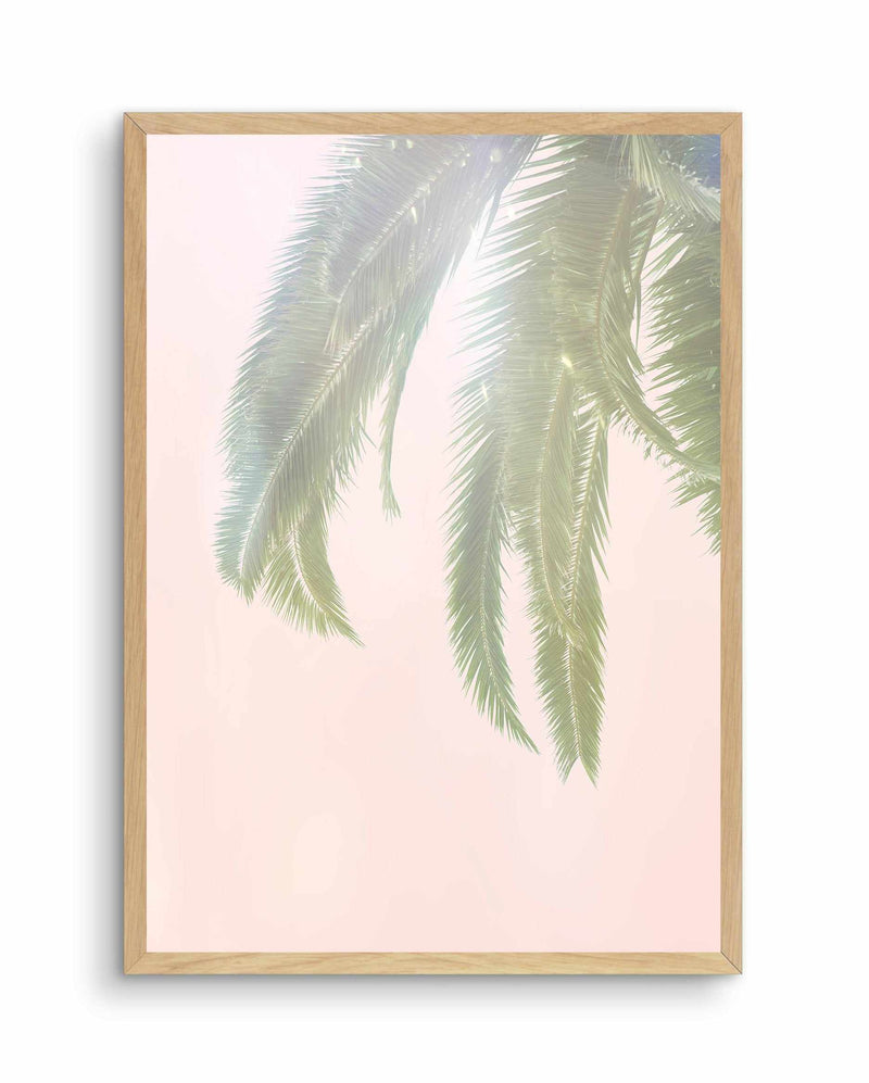 Dreamy Palms I Art Print-PRINT-Olive et Oriel-Olive et Oriel-A4 | 8.3" x 11.7" | 21 x 29.7cm-Oak-With White Border-Buy-Australian-Art-Prints-Online-with-Olive-et-Oriel-Your-Artwork-Specialists-Austrailia-Decorate-With-Coastal-Photo-Wall-Art-Prints-From-Our-Beach-House-Artwork-Collection-Fine-Poster-and-Framed-Artwork