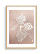 Dried Hydrangea Art Print-Buy-Bohemian-Wall-Art-Print-And-Boho-Pictures-from-Olive-et-Oriel-Bohemian-Wall-Art-Print-And-Boho-Pictures-And-Also-Boho-Abstract-Art-Paintings-On-Canvas-For-A-Girls-Bedroom-Wall-Decor-Collection-of-Boho-Style-Feminine-Art-Poster-and-Framed-Artwork-Update-Your-Home-Decorating-Style-With-These-Beautiful-Wall-Art-Prints-Australia