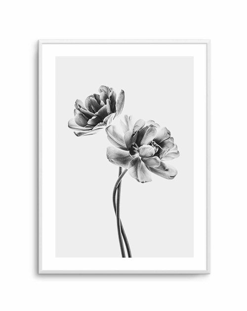 Entwined Poppy En Noir Art Print-PRINT-Olive et Oriel-Olive et Oriel-A5 | 5.8" x 8.3" | 14.8 x 21cm-Unframed Art Print-With White Border-Buy-Australian-Art-Prints-Online-with-Olive-et-Oriel-Your-Artwork-Specialists-Austrailia-Decorate-With-Coastal-Photo-Wall-Art-Prints-From-Our-Beach-House-Artwork-Collection-Fine-Poster-and-Framed-Artwork