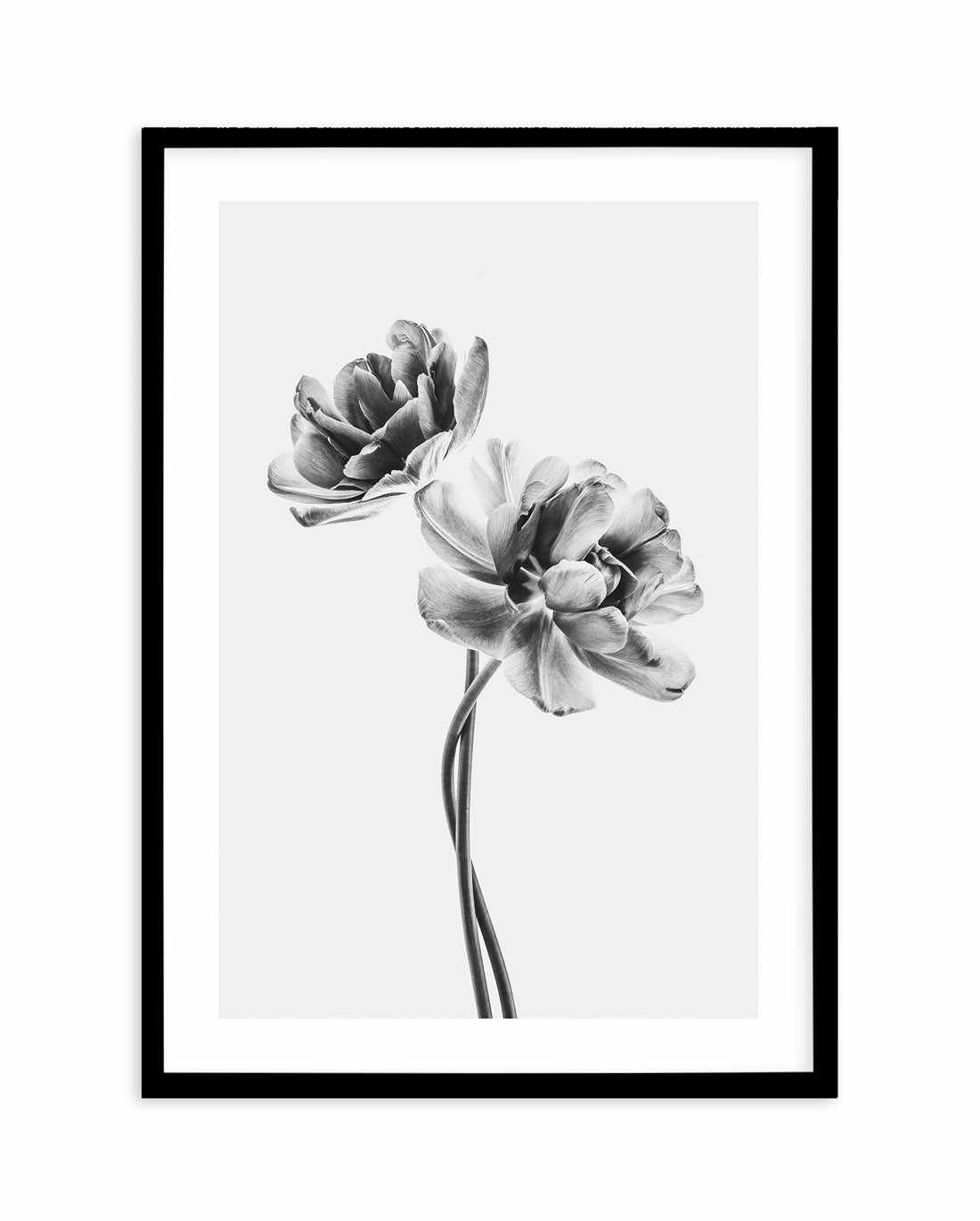 Entwined Poppy En Noir Art Print-PRINT-Olive et Oriel-Olive et Oriel-A5 | 5.8" x 8.3" | 14.8 x 21cm-Black-With White Border-Buy-Australian-Art-Prints-Online-with-Olive-et-Oriel-Your-Artwork-Specialists-Austrailia-Decorate-With-Coastal-Photo-Wall-Art-Prints-From-Our-Beach-House-Artwork-Collection-Fine-Poster-and-Framed-Artwork