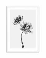 Entwined Poppy En Noir Art Print-PRINT-Olive et Oriel-Olive et Oriel-A5 | 5.8" x 8.3" | 14.8 x 21cm-White-With White Border-Buy-Australian-Art-Prints-Online-with-Olive-et-Oriel-Your-Artwork-Specialists-Austrailia-Decorate-With-Coastal-Photo-Wall-Art-Prints-From-Our-Beach-House-Artwork-Collection-Fine-Poster-and-Framed-Artwork