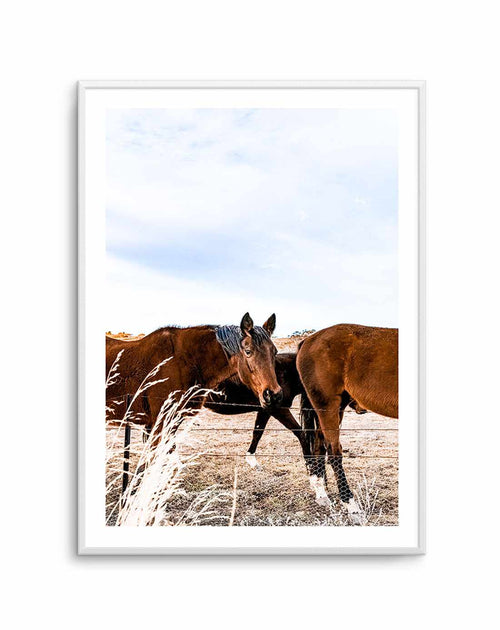Equestrian Art Print-PRINT-Olive et Oriel-Olive et Oriel-A5 | 5.8" x 8.3" | 14.8 x 21cm-Unframed Art Print-With White Border-Buy-Australian-Art-Prints-Online-with-Olive-et-Oriel-Your-Artwork-Specialists-Austrailia-Decorate-With-Coastal-Photo-Wall-Art-Prints-From-Our-Beach-House-Artwork-Collection-Fine-Poster-and-Framed-Artwork