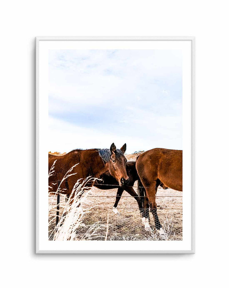 Equestrian Art Print-PRINT-Olive et Oriel-Olive et Oriel-A5 | 5.8" x 8.3" | 14.8 x 21cm-Unframed Art Print-With White Border-Buy-Australian-Art-Prints-Online-with-Olive-et-Oriel-Your-Artwork-Specialists-Austrailia-Decorate-With-Coastal-Photo-Wall-Art-Prints-From-Our-Beach-House-Artwork-Collection-Fine-Poster-and-Framed-Artwork