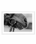 Equestrian Art Print-PRINT-Olive et Oriel-Olive et Oriel-A5 | 5.8" x 8.3" | 14.8 x 21cm-White-With White Border-Buy-Australian-Art-Prints-Online-with-Olive-et-Oriel-Your-Artwork-Specialists-Austrailia-Decorate-With-Coastal-Photo-Wall-Art-Prints-From-Our-Beach-House-Artwork-Collection-Fine-Poster-and-Framed-Artwork