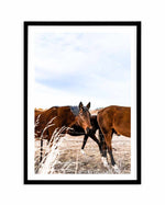 Equestrian Art Print-PRINT-Olive et Oriel-Olive et Oriel-A5 | 5.8" x 8.3" | 14.8 x 21cm-Black-With White Border-Buy-Australian-Art-Prints-Online-with-Olive-et-Oriel-Your-Artwork-Specialists-Austrailia-Decorate-With-Coastal-Photo-Wall-Art-Prints-From-Our-Beach-House-Artwork-Collection-Fine-Poster-and-Framed-Artwork