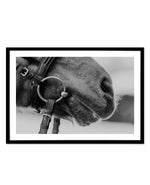 Equestrian Art Print-PRINT-Olive et Oriel-Olive et Oriel-A5 | 5.8" x 8.3" | 14.8 x 21cm-Black-With White Border-Buy-Australian-Art-Prints-Online-with-Olive-et-Oriel-Your-Artwork-Specialists-Austrailia-Decorate-With-Coastal-Photo-Wall-Art-Prints-From-Our-Beach-House-Artwork-Collection-Fine-Poster-and-Framed-Artwork