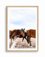 Equestrian Art Print-PRINT-Olive et Oriel-Olive et Oriel-A5 | 5.8" x 8.3" | 14.8 x 21cm-Oak-With White Border-Buy-Australian-Art-Prints-Online-with-Olive-et-Oriel-Your-Artwork-Specialists-Austrailia-Decorate-With-Coastal-Photo-Wall-Art-Prints-From-Our-Beach-House-Artwork-Collection-Fine-Poster-and-Framed-Artwork