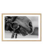 Equestrian Art Print-PRINT-Olive et Oriel-Olive et Oriel-A5 | 5.8" x 8.3" | 14.8 x 21cm-Oak-With White Border-Buy-Australian-Art-Prints-Online-with-Olive-et-Oriel-Your-Artwork-Specialists-Austrailia-Decorate-With-Coastal-Photo-Wall-Art-Prints-From-Our-Beach-House-Artwork-Collection-Fine-Poster-and-Framed-Artwork