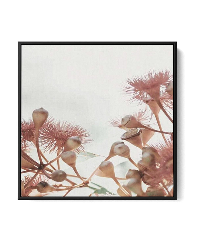 Eucalyptus IV SQ | Framed Canvas-CANVAS-You can shop wall art online with Olive et Oriel for everything from abstract art to fun kids wall art. Our beautiful modern art prints and canvas art are available from large canvas prints to wall art paintings and our proudly Australian artwork collection offers only the highest quality framed large wall art and canvas art Australia - You can buy fashion photography prints or Hampton print posters and paintings on canvas from Olive et Oriel and have them