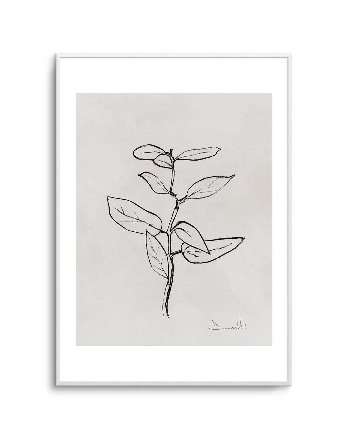 Eucalyptus Sapling by Dan Hobday Art Print-PRINT-Olive et Oriel-Dan Hobday-A5 | 5.8" x 8.3" | 14.8 x 21cm-Unframed Art Print-With White Border-Buy-Australian-Art-Prints-Online-with-Olive-et-Oriel-Your-Artwork-Specialists-Austrailia-Decorate-With-Coastal-Photo-Wall-Art-Prints-From-Our-Beach-House-Artwork-Collection-Fine-Poster-and-Framed-Artwork