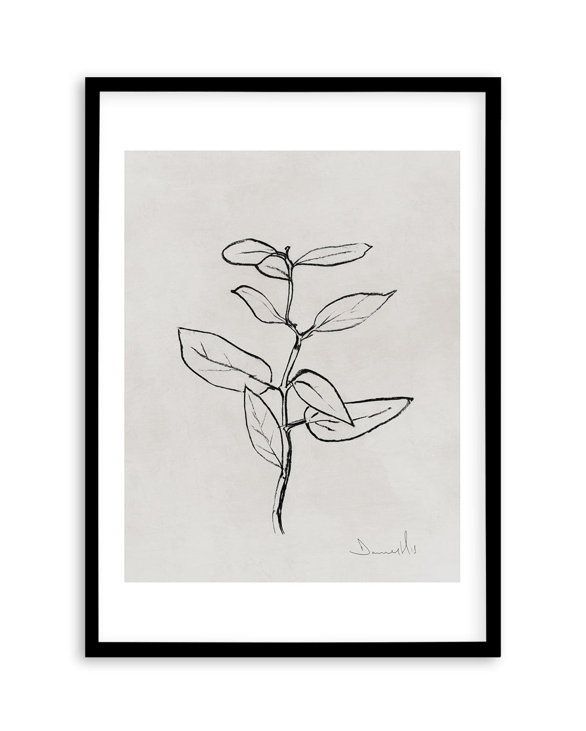 Eucalyptus Sapling by Dan Hobday Art Print-PRINT-Olive et Oriel-Dan Hobday-A5 | 5.8" x 8.3" | 14.8 x 21cm-Black-With White Border-Buy-Australian-Art-Prints-Online-with-Olive-et-Oriel-Your-Artwork-Specialists-Austrailia-Decorate-With-Coastal-Photo-Wall-Art-Prints-From-Our-Beach-House-Artwork-Collection-Fine-Poster-and-Framed-Artwork