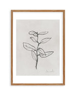 Eucalyptus Sapling by Dan Hobday Art Print-PRINT-Olive et Oriel-Dan Hobday-50x70 cm | 19.6" x 27.5"-Walnut-With White Border-Buy-Australian-Art-Prints-Online-with-Olive-et-Oriel-Your-Artwork-Specialists-Austrailia-Decorate-With-Coastal-Photo-Wall-Art-Prints-From-Our-Beach-House-Artwork-Collection-Fine-Poster-and-Framed-Artwork