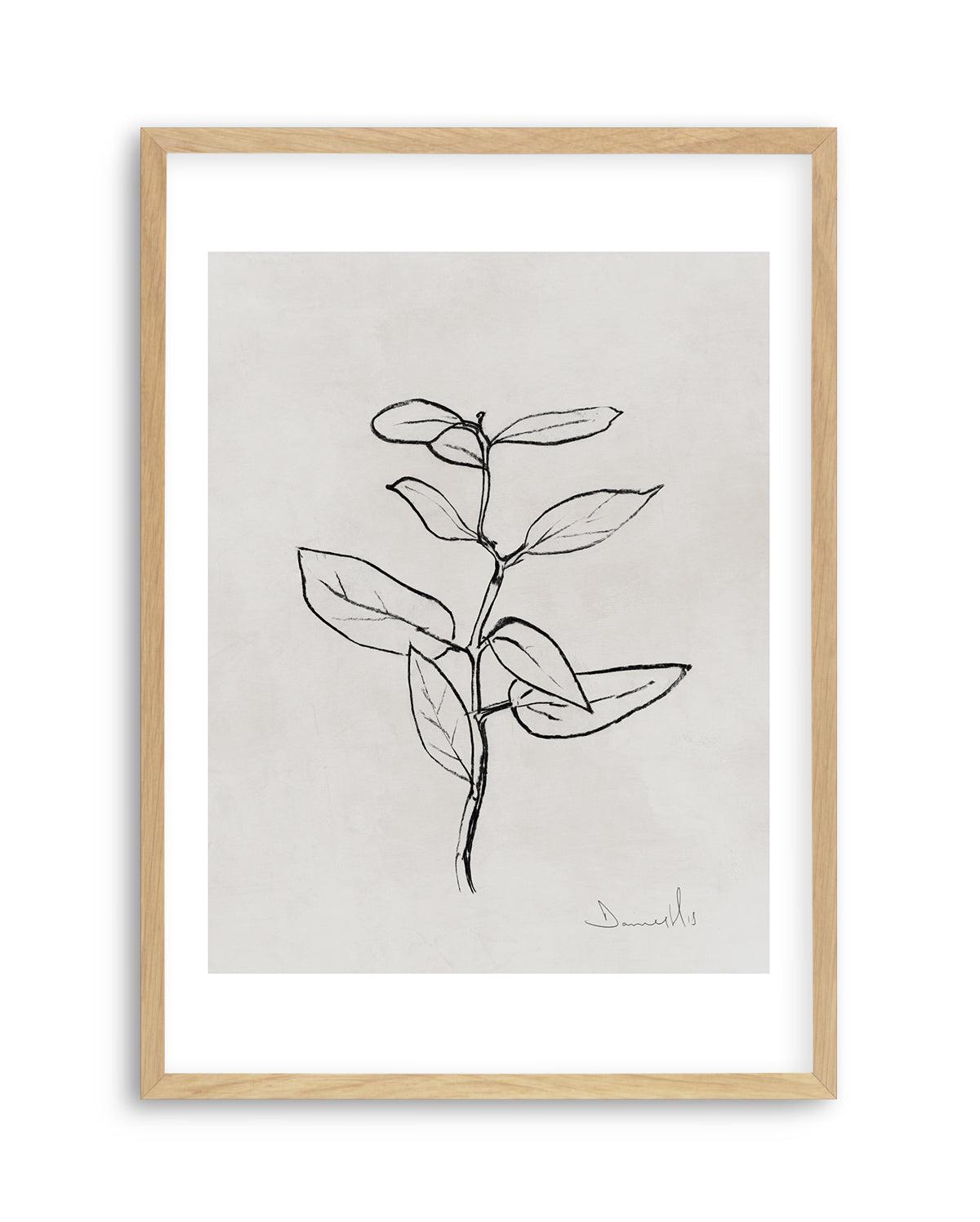 Eucalyptus Sapling by Dan Hobday Art Print-PRINT-Olive et Oriel-Dan Hobday-A5 | 5.8" x 8.3" | 14.8 x 21cm-Oak-With White Border-Buy-Australian-Art-Prints-Online-with-Olive-et-Oriel-Your-Artwork-Specialists-Austrailia-Decorate-With-Coastal-Photo-Wall-Art-Prints-From-Our-Beach-House-Artwork-Collection-Fine-Poster-and-Framed-Artwork