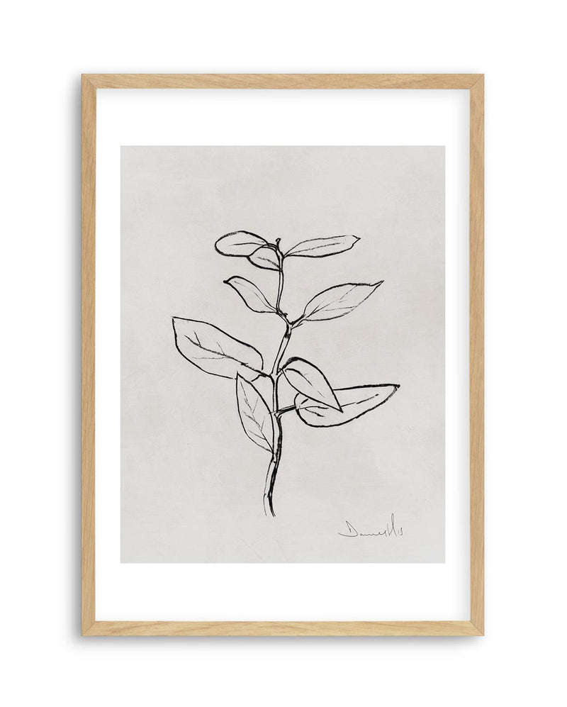 Eucalyptus Sapling by Dan Hobday Art Print-PRINT-Olive et Oriel-Dan Hobday-A5 | 5.8" x 8.3" | 14.8 x 21cm-Oak-With White Border-Buy-Australian-Art-Prints-Online-with-Olive-et-Oriel-Your-Artwork-Specialists-Austrailia-Decorate-With-Coastal-Photo-Wall-Art-Prints-From-Our-Beach-House-Artwork-Collection-Fine-Poster-and-Framed-Artwork