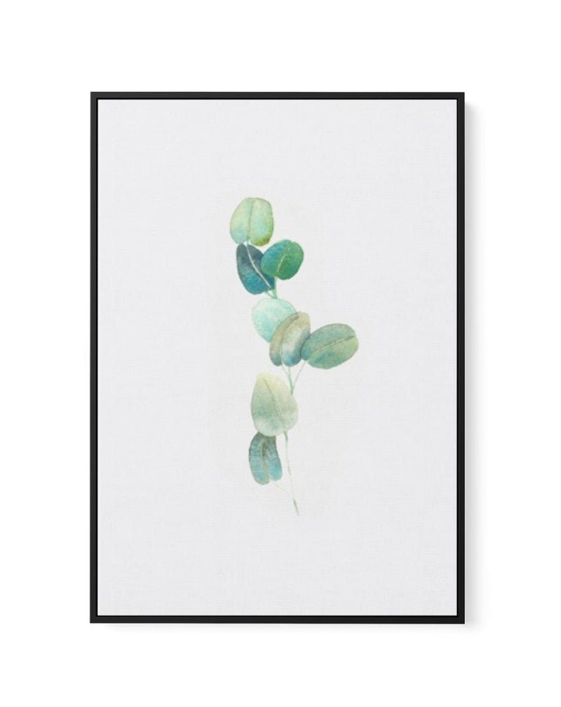 Eucalyptus In Watercolour | Framed Canvas-CANVAS-You can shop wall art online with Olive et Oriel for everything from abstract art to fun kids wall art. Our beautiful modern art prints and canvas art are available from large canvas prints to wall art paintings and our proudly Australian artwork collection offers only the highest quality framed large wall art and canvas art Australia - You can buy fashion photography prints or Hampton print posters and paintings on canvas from Olive et Oriel and 