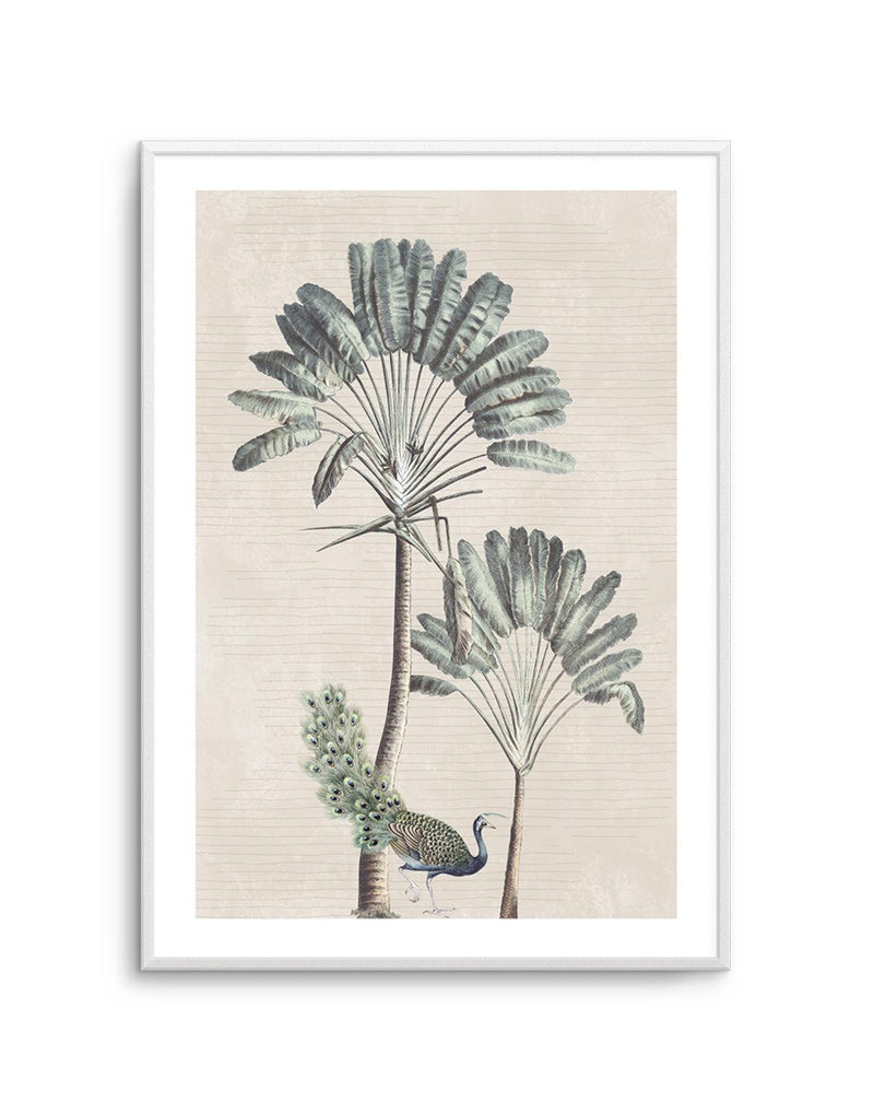 Exotic Palm II Art Print-PRINT-Olive et Oriel-Olive et Oriel-Buy-Australian-Art-Prints-Online-with-Olive-et-Oriel-Your-Artwork-Specialists-Austrailia-Decorate-With-Coastal-Photo-Wall-Art-Prints-From-Our-Beach-House-Artwork-Collection-Fine-Poster-and-Framed-Artwork