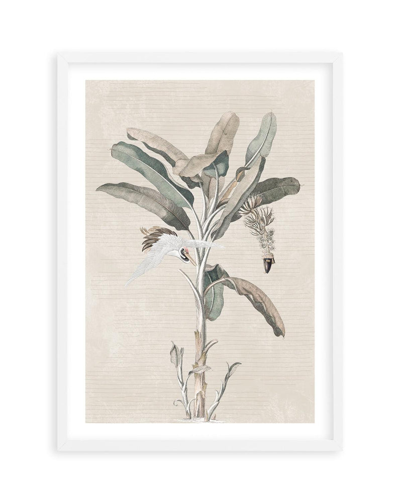 Exotic Palm III Art Print-PRINT-Olive et Oriel-Olive et Oriel-A5 | 5.8" x 8.3" | 14.8 x 21cm-White-With White Border-Buy-Australian-Art-Prints-Online-with-Olive-et-Oriel-Your-Artwork-Specialists-Austrailia-Decorate-With-Coastal-Photo-Wall-Art-Prints-From-Our-Beach-House-Artwork-Collection-Fine-Poster-and-Framed-Artwork