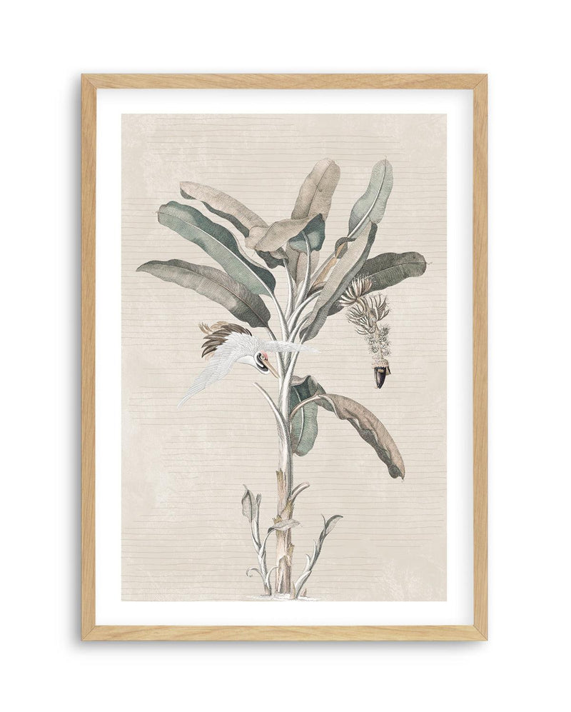 Exotic Palm III Art Print-PRINT-Olive et Oriel-Olive et Oriel-A5 | 5.8" x 8.3" | 14.8 x 21cm-Oak-With White Border-Buy-Australian-Art-Prints-Online-with-Olive-et-Oriel-Your-Artwork-Specialists-Austrailia-Decorate-With-Coastal-Photo-Wall-Art-Prints-From-Our-Beach-House-Artwork-Collection-Fine-Poster-and-Framed-Artwork