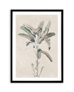 Exotic Palm III Art Print-PRINT-Olive et Oriel-Olive et Oriel-A5 | 5.8" x 8.3" | 14.8 x 21cm-Black-With White Border-Buy-Australian-Art-Prints-Online-with-Olive-et-Oriel-Your-Artwork-Specialists-Austrailia-Decorate-With-Coastal-Photo-Wall-Art-Prints-From-Our-Beach-House-Artwork-Collection-Fine-Poster-and-Framed-Artwork