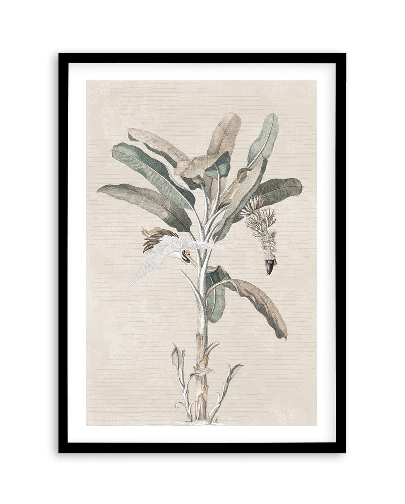 Exotic Palm III Art Print-PRINT-Olive et Oriel-Olive et Oriel-A5 | 5.8" x 8.3" | 14.8 x 21cm-Black-With White Border-Buy-Australian-Art-Prints-Online-with-Olive-et-Oriel-Your-Artwork-Specialists-Austrailia-Decorate-With-Coastal-Photo-Wall-Art-Prints-From-Our-Beach-House-Artwork-Collection-Fine-Poster-and-Framed-Artwork