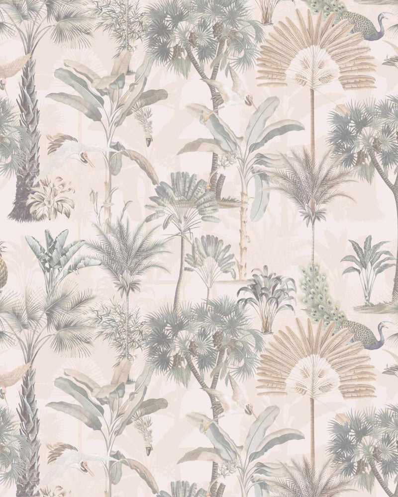 Exotica Palms in Golden Hour Wallpaper