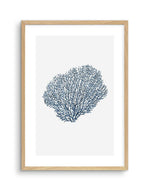 Fan Coral I Art Print-PRINT-Olive et Oriel-Olive et Oriel-A5 | 5.8" x 8.3" | 14.8 x 21cm-Oak-With White Border-Buy-Australian-Art-Prints-Online-with-Olive-et-Oriel-Your-Artwork-Specialists-Austrailia-Decorate-With-Coastal-Photo-Wall-Art-Prints-From-Our-Beach-House-Artwork-Collection-Fine-Poster-and-Framed-Artwork