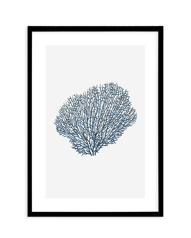 Fan Coral I Art Print-PRINT-Olive et Oriel-Olive et Oriel-A5 | 5.8" x 8.3" | 14.8 x 21cm-Black-With White Border-Buy-Australian-Art-Prints-Online-with-Olive-et-Oriel-Your-Artwork-Specialists-Austrailia-Decorate-With-Coastal-Photo-Wall-Art-Prints-From-Our-Beach-House-Artwork-Collection-Fine-Poster-and-Framed-Artwork