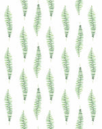 Fern Foliage Wallpaper-Wallpaper-Buy Kids Removable Wallpaper Online Our Custom Made Children√¢‚Ç¨‚Ñ¢s Wallpapers Are A Fun Way To Decorate And Enhance Boys Bedroom Decor And Girls Bedrooms They Are An Amazing Addition To Your Kids Bedroom Walls Our Collection of Kids Wallpaper Is Sure To Transform Your Kids Rooms Interior Style From Pink Wallpaper To Dinosaur Wallpaper Even Marble Wallpapers For Teen Boys Shop Peel And Stick Wallpaper Online Today With Olive et Oriel