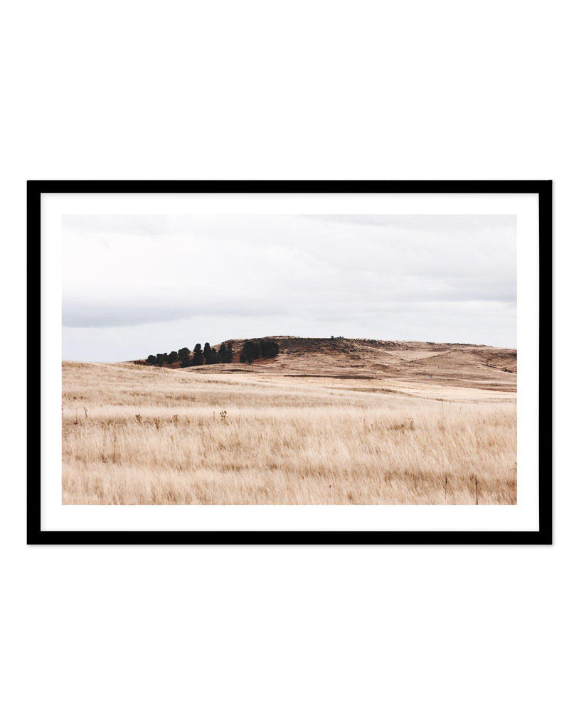 Fields of Gold | LS Art Print-PRINT-Olive et Oriel-Olive et Oriel-A3 | 11.7" x 16.5" | 29.7 x 42 cm-Black-With White Border-Buy-Australian-Art-Prints-Online-with-Olive-et-Oriel-Your-Artwork-Specialists-Austrailia-Decorate-With-Coastal-Photo-Wall-Art-Prints-From-Our-Beach-House-Artwork-Collection-Fine-Poster-and-Framed-Artwork
