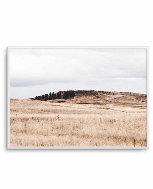 Fields of Gold | LS Art Print-PRINT-Olive et Oriel-Olive et Oriel-A3 | 11.7" x 16.5" | 29.7 x 42 cm-Unframed Art Print-With White Border-Buy-Australian-Art-Prints-Online-with-Olive-et-Oriel-Your-Artwork-Specialists-Austrailia-Decorate-With-Coastal-Photo-Wall-Art-Prints-From-Our-Beach-House-Artwork-Collection-Fine-Poster-and-Framed-Artwork