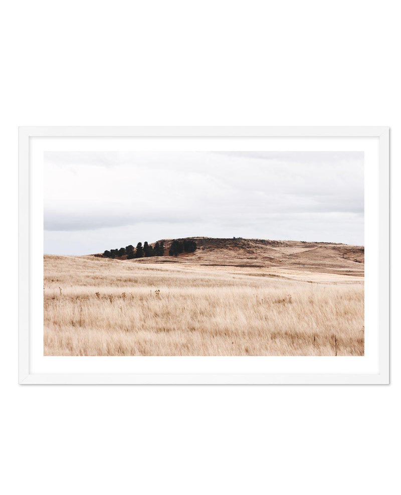 Fields of Gold | LS Art Print-PRINT-Olive et Oriel-Olive et Oriel-A3 | 11.7" x 16.5" | 29.7 x 42 cm-White-With White Border-Buy-Australian-Art-Prints-Online-with-Olive-et-Oriel-Your-Artwork-Specialists-Austrailia-Decorate-With-Coastal-Photo-Wall-Art-Prints-From-Our-Beach-House-Artwork-Collection-Fine-Poster-and-Framed-Artwork
