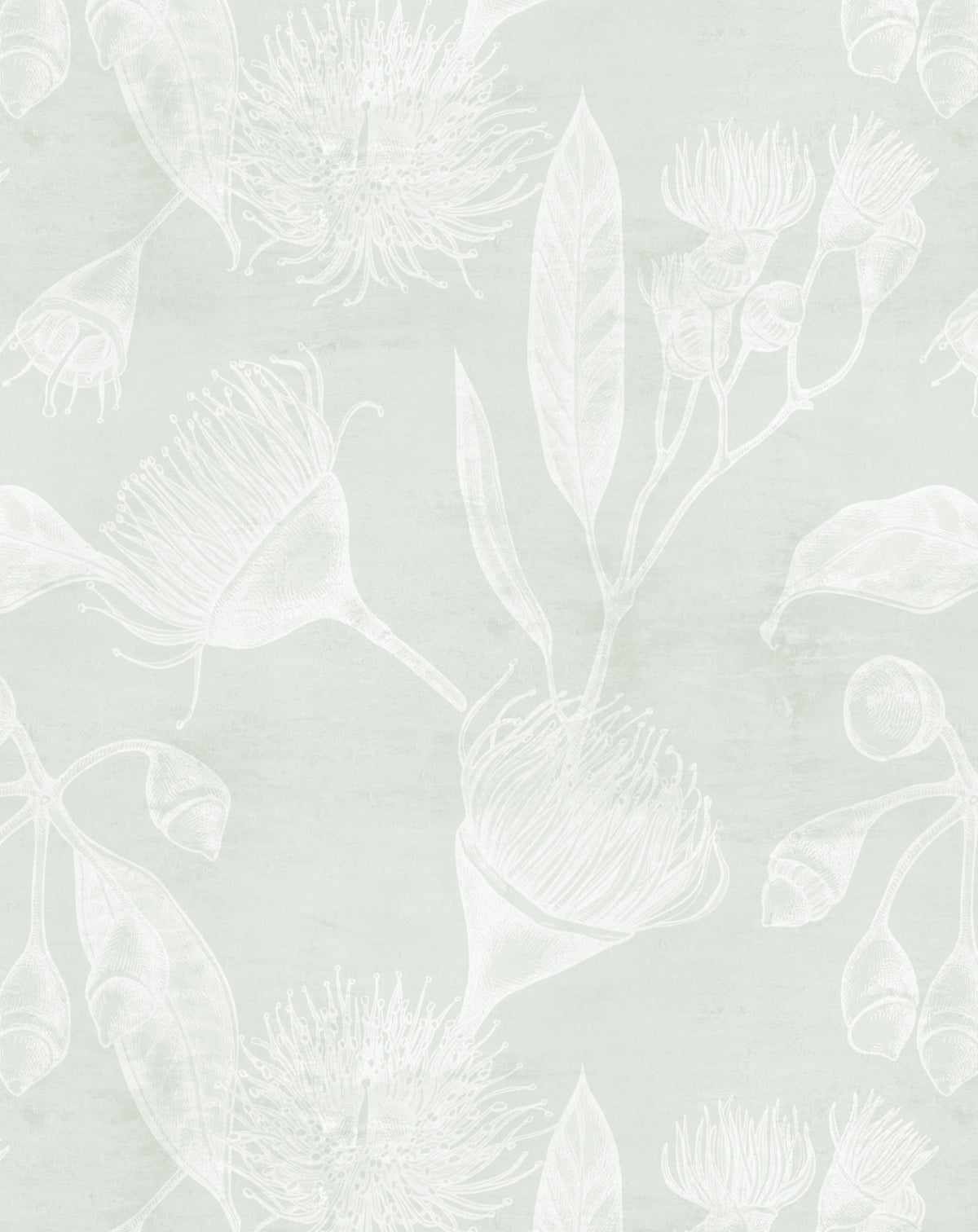 Flowering Gum in Neutral Wallpaper-Wallpaper-Buy Australian Removable Wallpaper Now Sage Green Wallpaper Peel And Stick Wallpaper Online At Olive et Oriel Custom Made Wallpapers Wall Papers Decorate Your Bedroom Living Room Kids Room or Commercial Interior