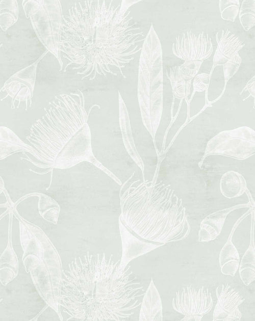 Flowering Gum in Neutral Wallpaper-Wallpaper-Buy Australian Removable Wallpaper Now Sage Green Wallpaper Peel And Stick Wallpaper Online At Olive et Oriel Custom Made Wallpapers Wall Papers Decorate Your Bedroom Living Room Kids Room or Commercial Interior