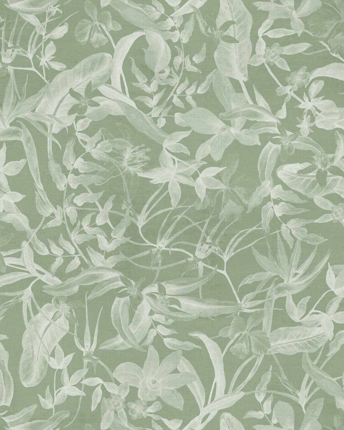 Foliage in Sage Green Wallpaper-Wallpaper-Buy Australian Removable Wallpaper Now Sage Green Wallpaper Peel And Stick Wallpaper Online At Olive et Oriel Custom Made Wallpapers Wall Papers Decorate Your Bedroom Living Room Kids Room or Commercial Interior