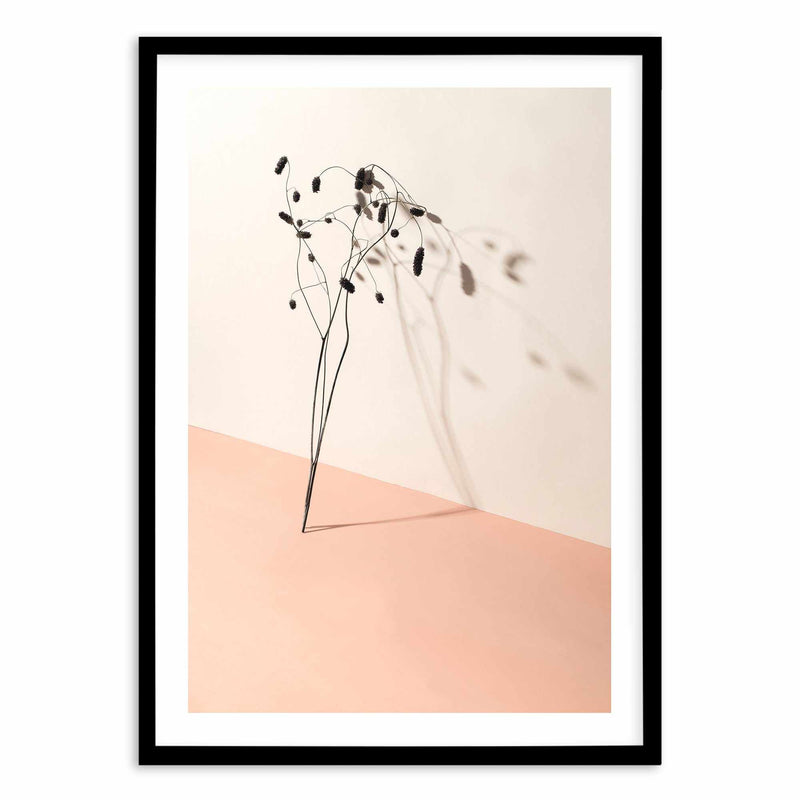 Foliage Shadow Art Print-PRINT-Olive et Oriel-Olive et Oriel-A5 | 5.8" x 8.3" | 14.8 x 21cm-Black-With White Border-Buy-Australian-Art-Prints-Online-with-Olive-et-Oriel-Your-Artwork-Specialists-Austrailia-Decorate-With-Coastal-Photo-Wall-Art-Prints-From-Our-Beach-House-Artwork-Collection-Fine-Poster-and-Framed-Artwork