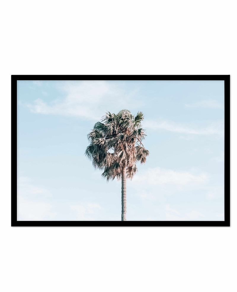 Gerringong Palm | LS Art Print-PRINT-Olive et Oriel-Olive et Oriel-A4 | 8.3" x 11.7" | 21 x 29.7cm-Black-With White Border-Buy-Australian-Art-Prints-Online-with-Olive-et-Oriel-Your-Artwork-Specialists-Austrailia-Decorate-With-Coastal-Photo-Wall-Art-Prints-From-Our-Beach-House-Artwork-Collection-Fine-Poster-and-Framed-Artwork
