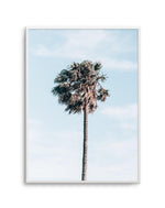 Gerringong Palm | PT Art Print-PRINT-Olive et Oriel-Olive et Oriel-A4 | 8.3" x 11.7" | 21 x 29.7cm-Unframed Art Print-With White Border-Buy-Australian-Art-Prints-Online-with-Olive-et-Oriel-Your-Artwork-Specialists-Austrailia-Decorate-With-Coastal-Photo-Wall-Art-Prints-From-Our-Beach-House-Artwork-Collection-Fine-Poster-and-Framed-Artwork