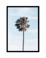 Gerringong Palm | PT Art Print-PRINT-Olive et Oriel-Olive et Oriel-A4 | 8.3" x 11.7" | 21 x 29.7cm-Black-With White Border-Buy-Australian-Art-Prints-Online-with-Olive-et-Oriel-Your-Artwork-Specialists-Austrailia-Decorate-With-Coastal-Photo-Wall-Art-Prints-From-Our-Beach-House-Artwork-Collection-Fine-Poster-and-Framed-Artwork