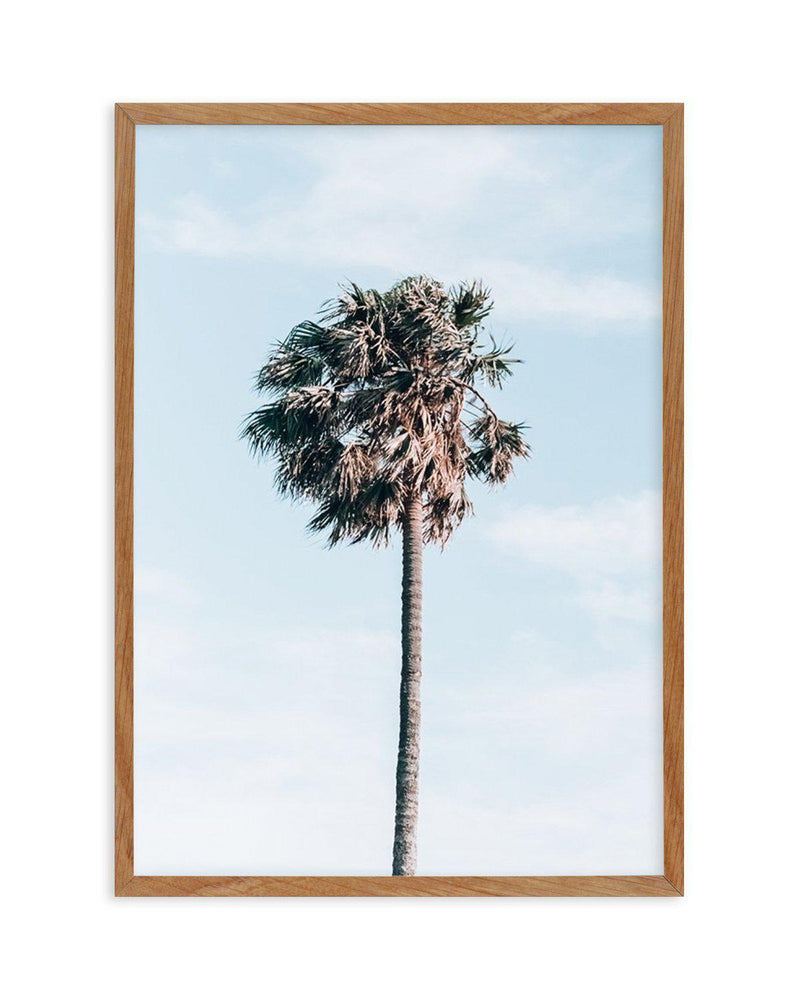 Gerringong Palm | PT Art Print-PRINT-Olive et Oriel-Olive et Oriel-50x70 cm | 19.6" x 27.5"-Walnut-With White Border-Buy-Australian-Art-Prints-Online-with-Olive-et-Oriel-Your-Artwork-Specialists-Austrailia-Decorate-With-Coastal-Photo-Wall-Art-Prints-From-Our-Beach-House-Artwork-Collection-Fine-Poster-and-Framed-Artwork