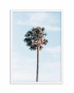 Gerringong Palm | PT Art Print-PRINT-Olive et Oriel-Olive et Oriel-A4 | 8.3" x 11.7" | 21 x 29.7cm-White-With White Border-Buy-Australian-Art-Prints-Online-with-Olive-et-Oriel-Your-Artwork-Specialists-Austrailia-Decorate-With-Coastal-Photo-Wall-Art-Prints-From-Our-Beach-House-Artwork-Collection-Fine-Poster-and-Framed-Artwork