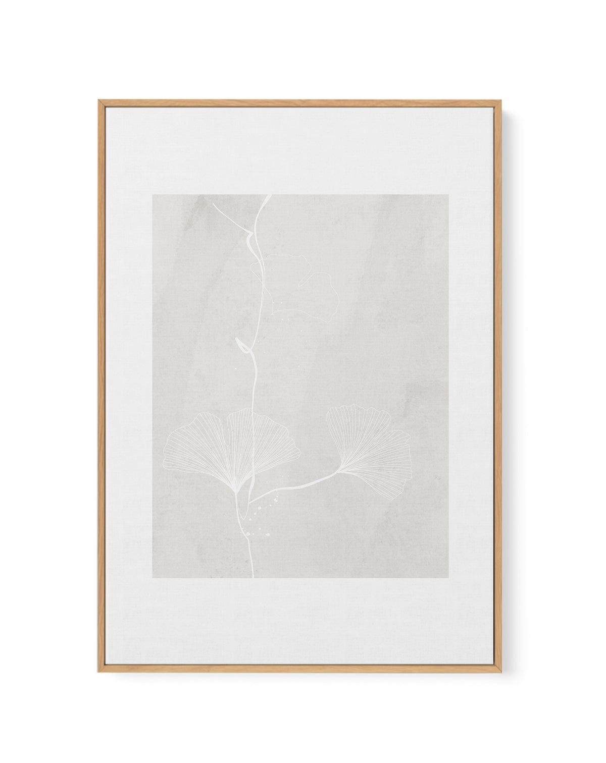 Ginkgo II | Framed Canvas-CANVAS-You can shop wall art online with Olive et Oriel for everything from abstract art to fun kids wall art. Our beautiful modern art prints and canvas art are available from large canvas prints to wall art paintings and our proudly Australian artwork collection offers only the highest quality framed large wall art and canvas art Australia - You can buy fashion photography prints or Hampton print posters and paintings on canvas from Olive et Oriel and have them delive